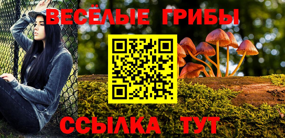 Галлюциногенные грибы GOLDEN TEACHER  Вход с VPN  Гусь-Хрустальный 